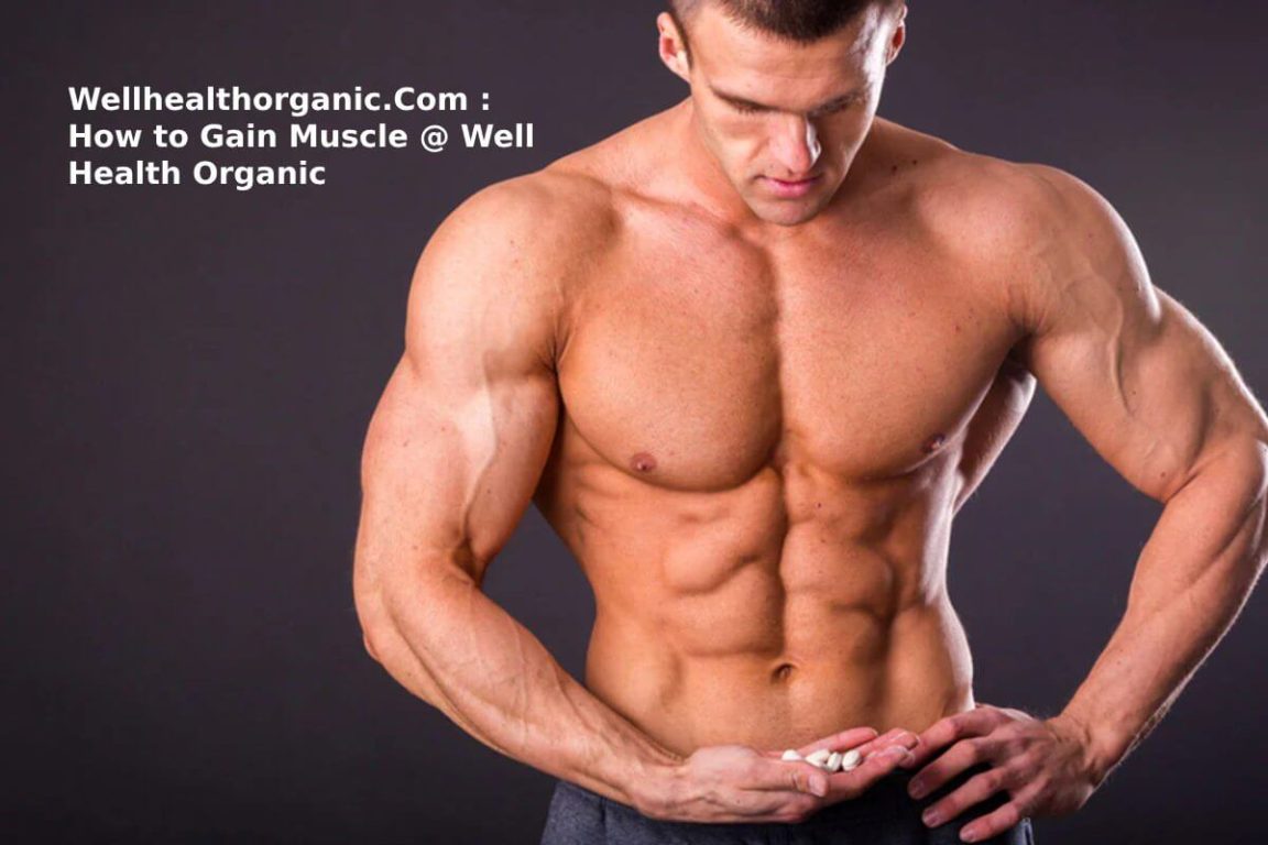Wellhealthorganic.Com : How to Gain Muscle @ Well Health Organic