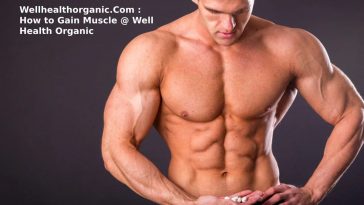 Wellhealthorganic.Com : How to Gain Muscle @ Well Health Organic