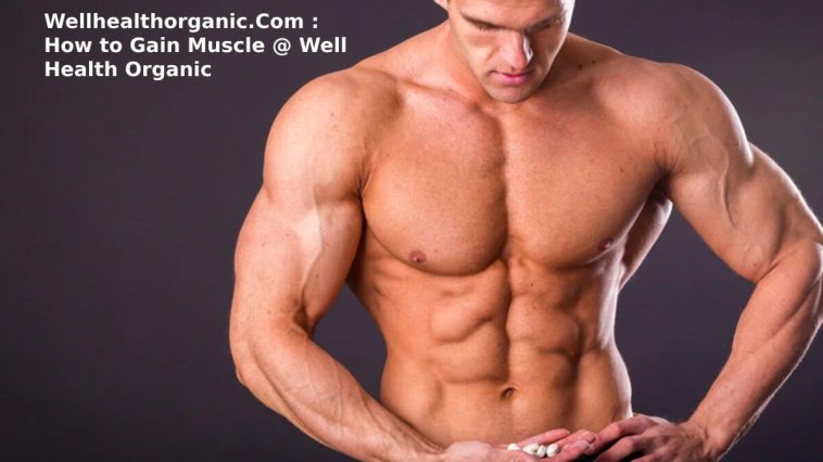 Wellhealthorganic.Com : How to Gain Muscle @ Well Health Organic