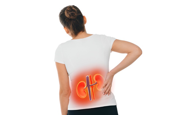 Kidneys Write For Us