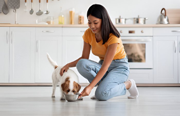 What Are the Top 5 Healthiest Foods for Dogs?