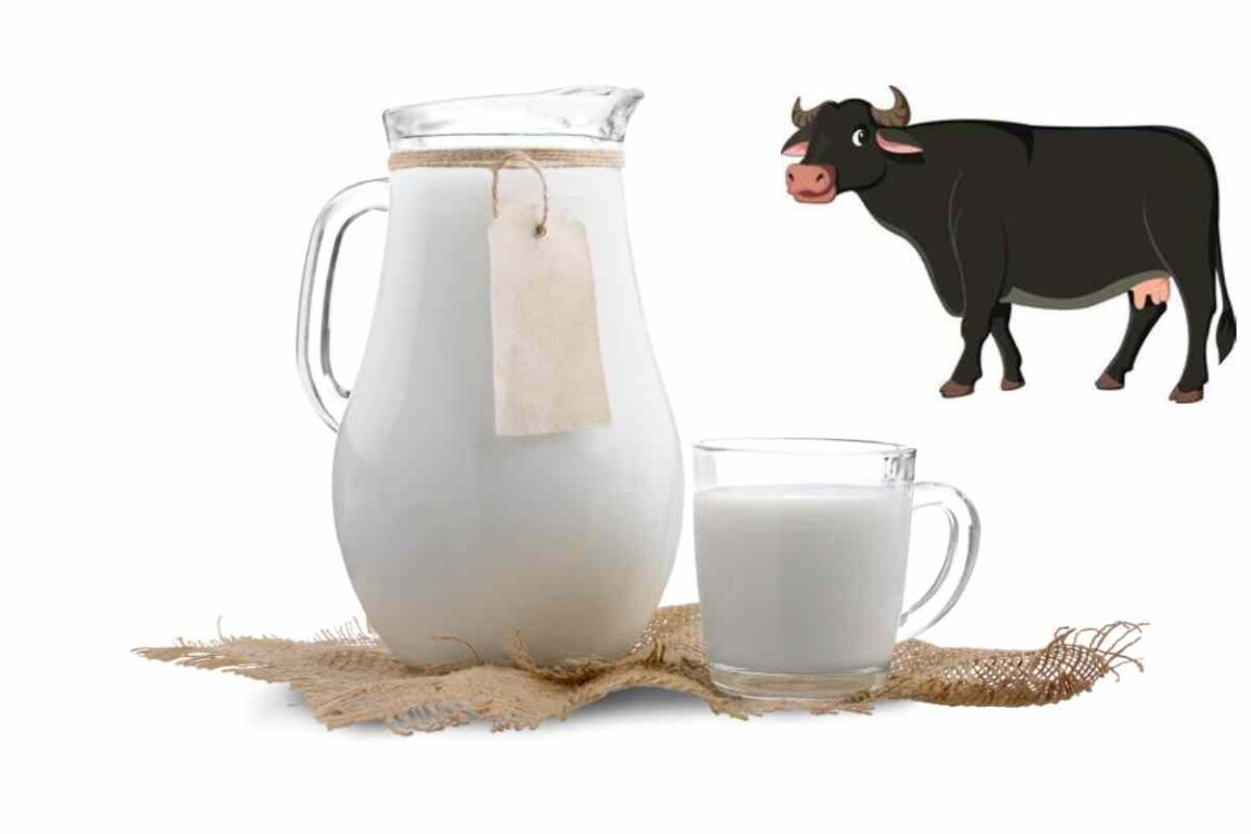 Wellhealthorganic Buffalo Milk Tag