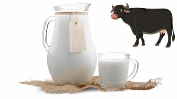 Wellhealthorganic Buffalo Milk Tag