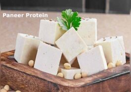 Paneer Protein per 100g