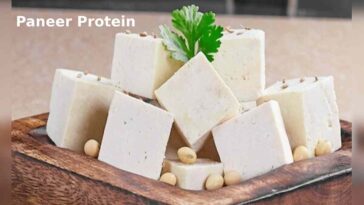 Paneer Protein per 100g