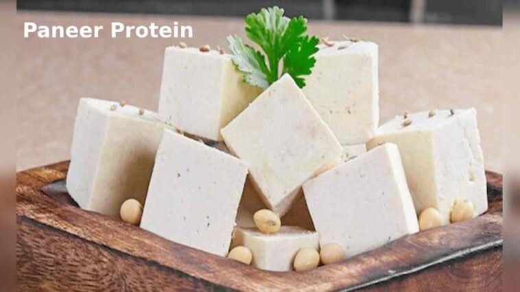 Paneer Protein per 100g