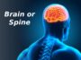 brain or spine