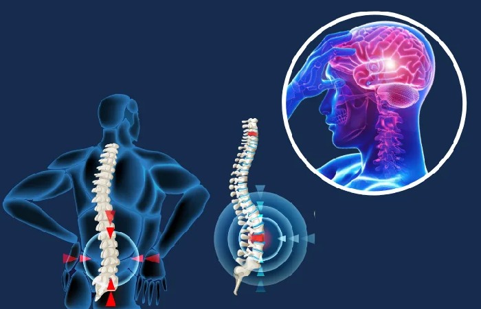 Why does Brain and Spine Health Require Special Attention?
