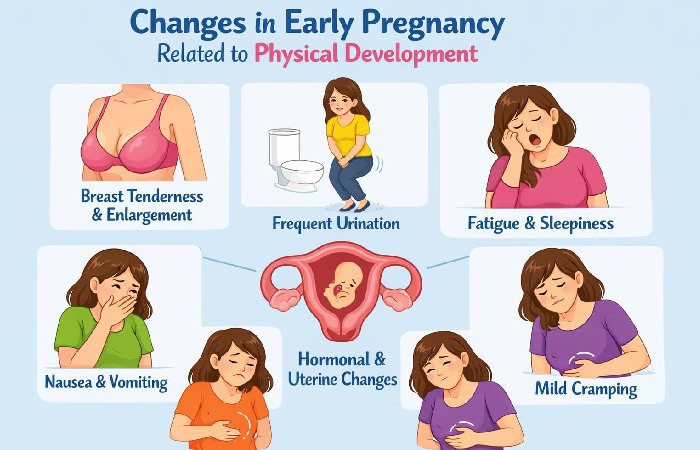Changes in Early Pregnancy Related to Physical