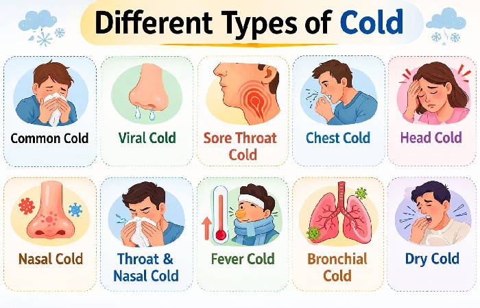 Different Types of Cold