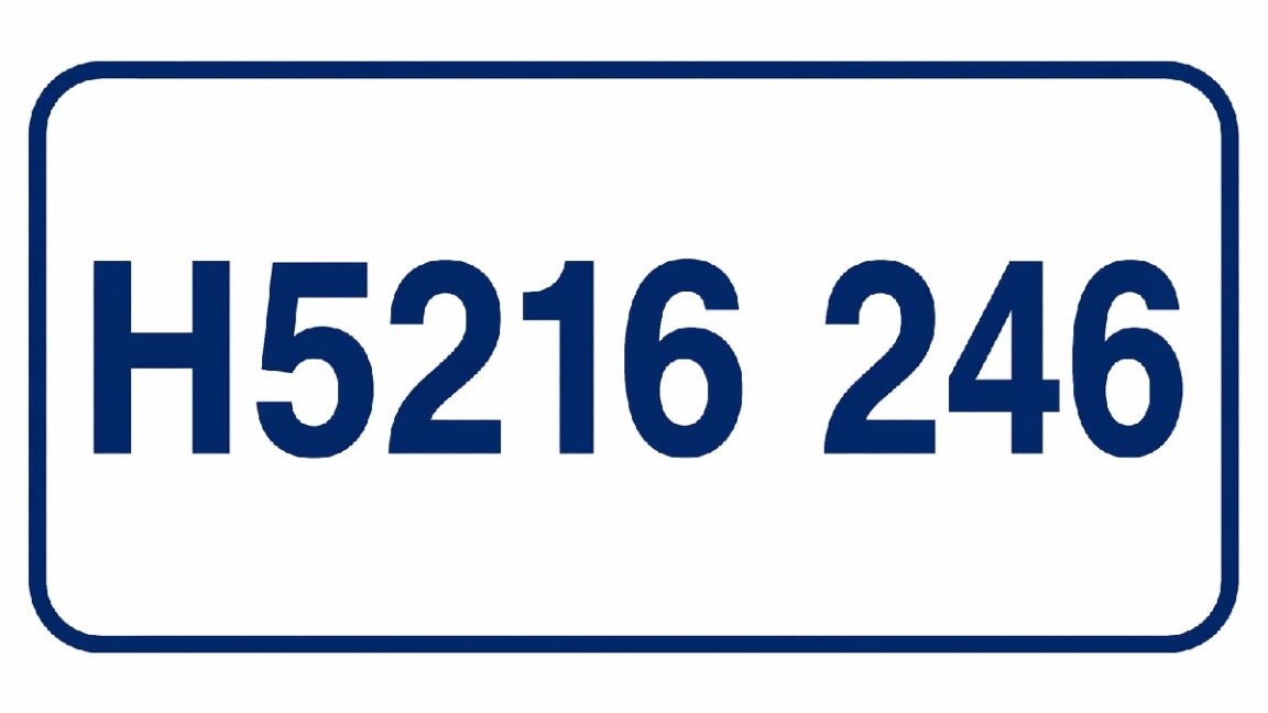 H5216 246