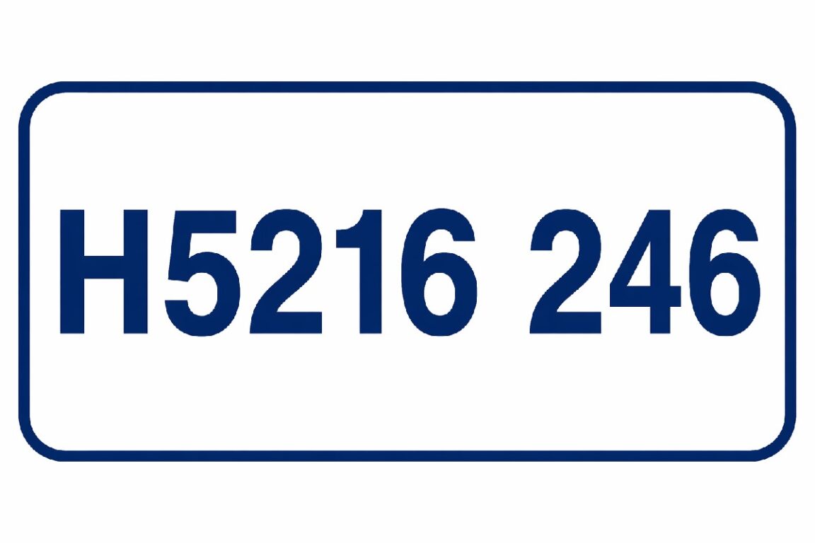 H5216 246