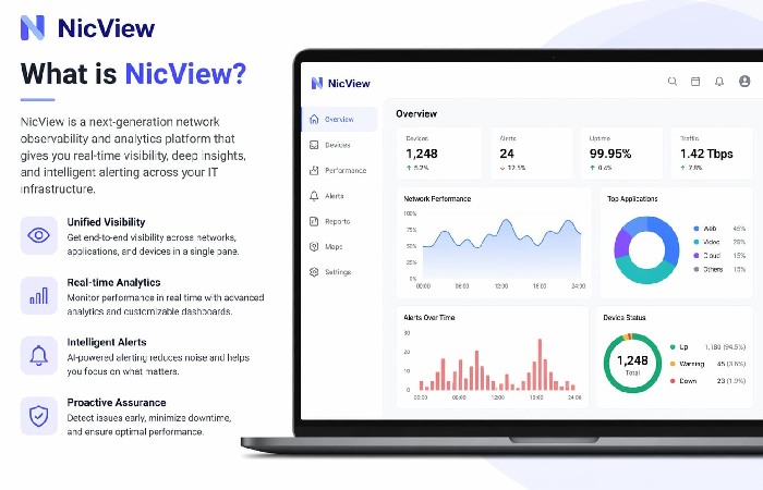 What is NicView?