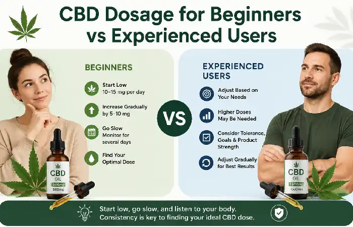 beginners vs experienced users