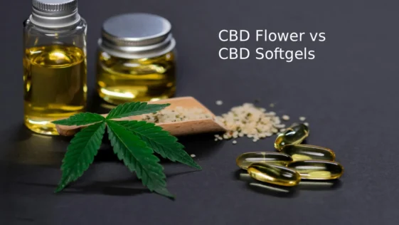 flower vs softgels
