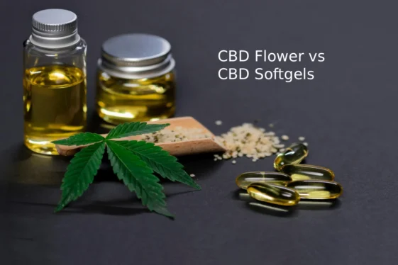 flower vs softgels